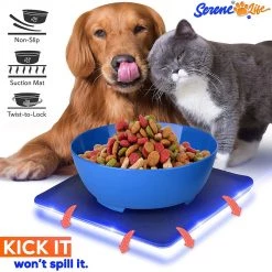 SereneLife Twisty Dish SLTDG66